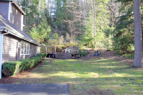 Lower level fireplace